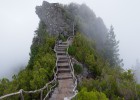 试管婴儿一次可以移植几个胚胎？全面解析